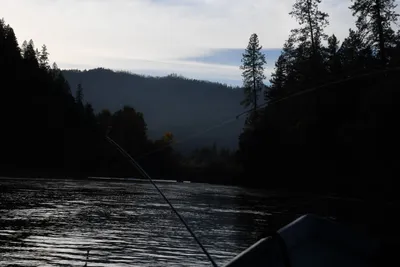 DSC_0296 (Large).JPG